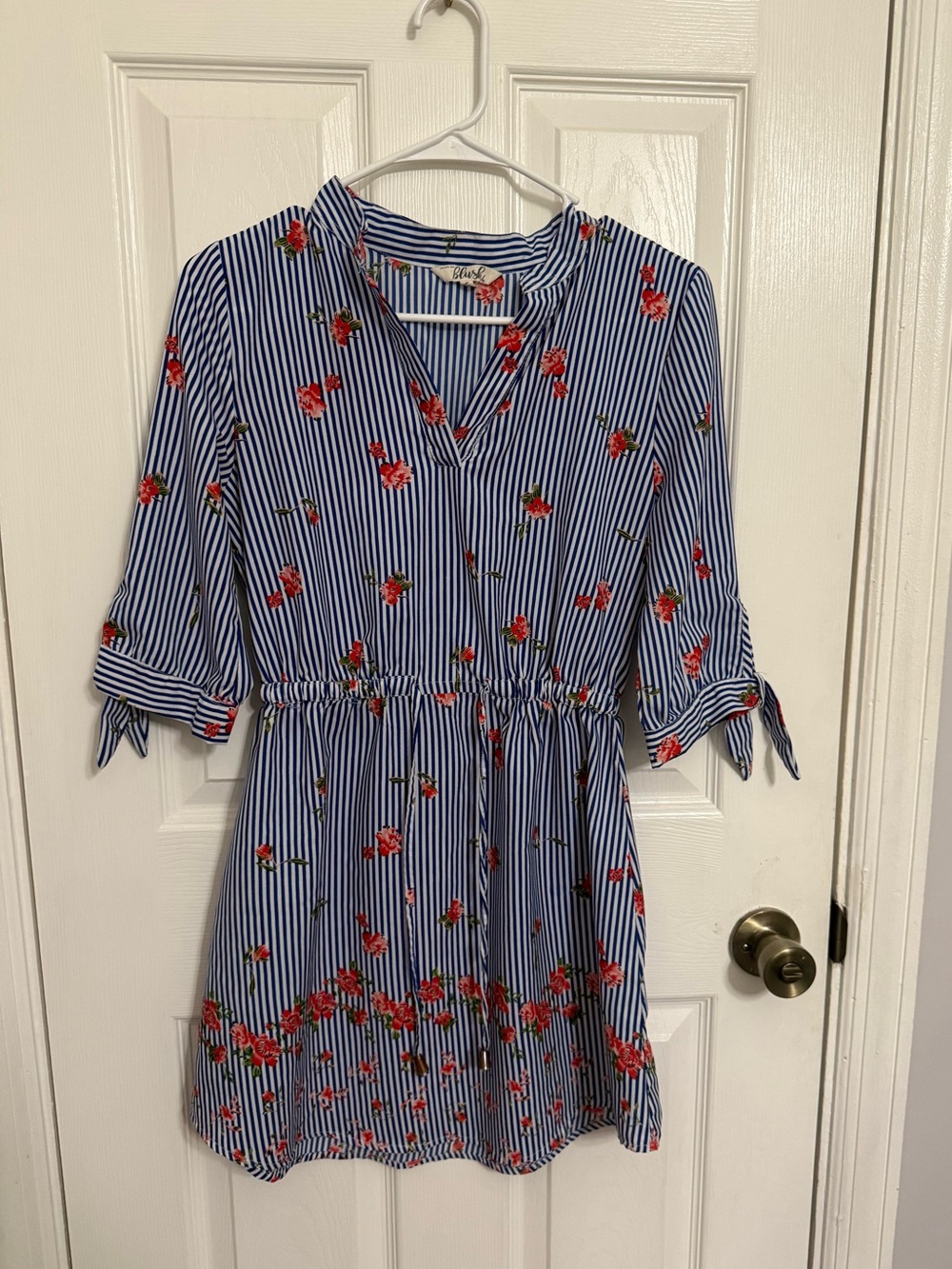 Blush Blue & White Striped Dress with Red Floral Print